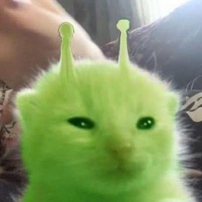aylenciiiita's profile picture. 