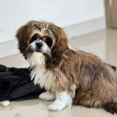 Updates_Indiaa's profile picture. Believe!