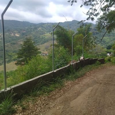 T248Tello's profile picture.