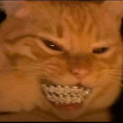 Ghost_xD2's profile picture. Frontend / Web3 Engineer | Aspiring Couch Potato

SWE @Tunnl_io

18x hackathon winner 🏆