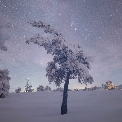 b4nex_'s profile picture. 