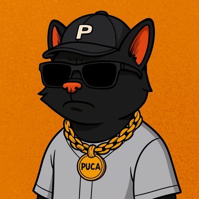 PucaOnSol's profile picture. 🌌🐾 PUCA is here! From the streets to the moon – the black cat of luck and chaos.. For #NFT https://t.co/QOFl9qnsVb