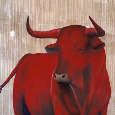 Drac220's profile picture.