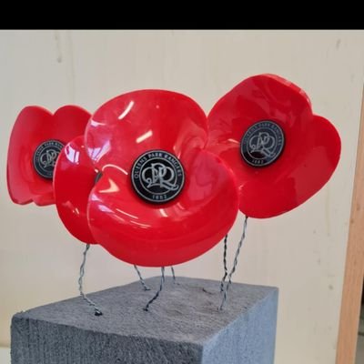 ts4QPR's profile picture. Old school Londoner. England/UK is DYING, killed by Lib/Lab/Con. 😡  
We Are QPR 💙 ⚽

EU = 💩 
       Brexit! 🇬🇧  #NOfarmersNOfood 🚜