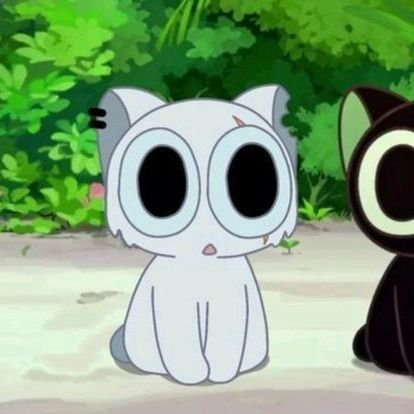 cherrylilisa's profile picture. mahito virou um periquito australiano