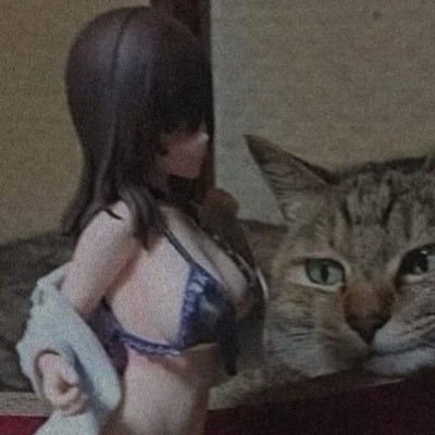 libidohmacun's profile picture. 