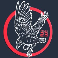 Raven 23 (@freeraven23) 's Twitter Profile