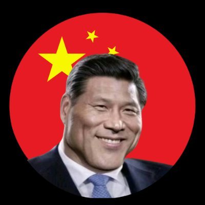 Chinesesolcoin's profile picture. hi