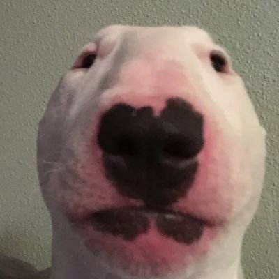 @IloveSh0ta