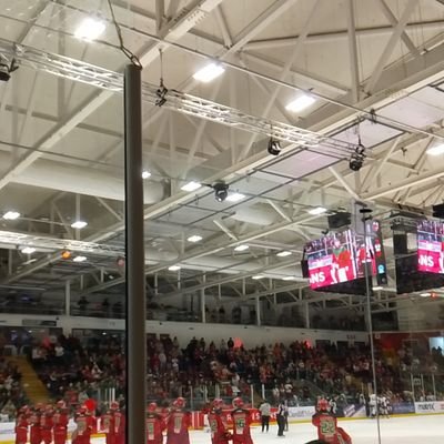 icingontherink's profile picture. NHL, EIHL and PWHL