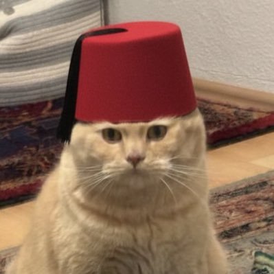 Sheb_i_ArUS's profile picture. Aziz Vatandaş.