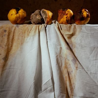 AnimosParrec's profile picture. Música d'arrel.