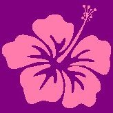 hibiscusdawn86's profile picture. 