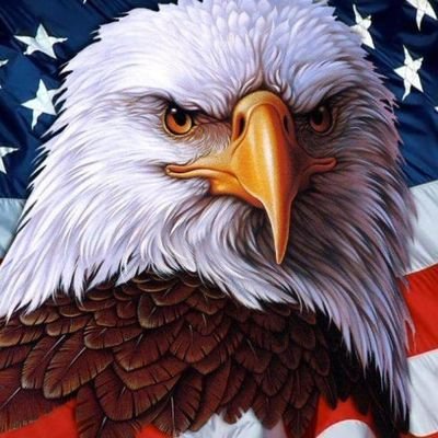 EAGLY1776's profile picture. Standing tall for what’s right 🇺🇸 | Proud Republican values | Born U.S. citizen | Chicago made | Fighting to get it right someday 🦅