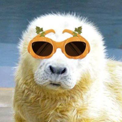 spikey120415's profile picture. 19M🏴#sealtwt 🇵🇸