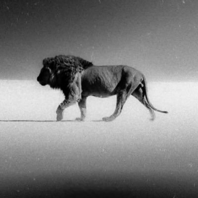 saddamMjama's profile picture. 