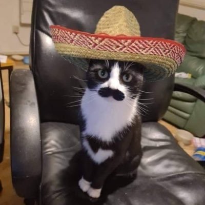 spexfym's profile picture. 