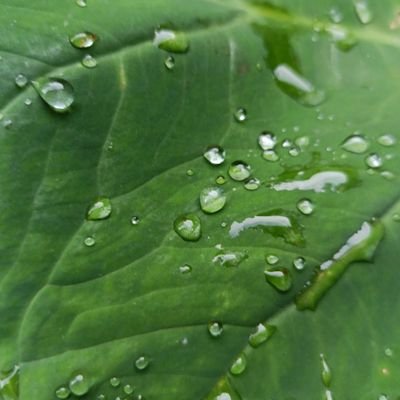 p5bur's profile picture. 