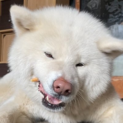@Rinnkedao_VAWS