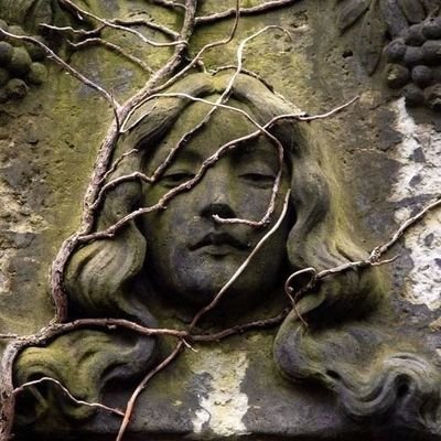 torturebyrosesz's profile picture. Salve Regina, Mater misericordiae; vita, dulcedo, et spes nostra, salve.