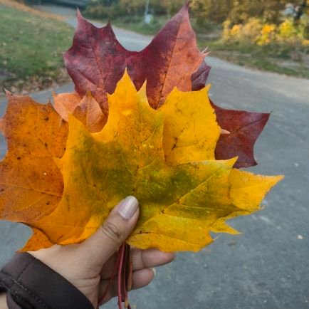Chondrodevi1602's profile picture. A couch Potato

#WeStandWithKimSooHyun