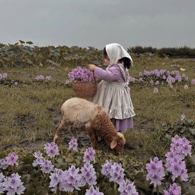 lady_as11's profile picture. عشوائيات❣️