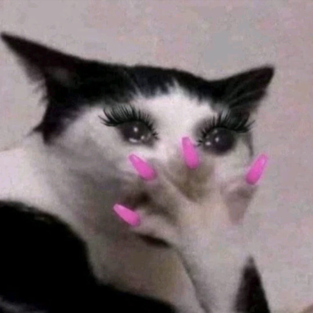 Alexand97960045's profile picture. 