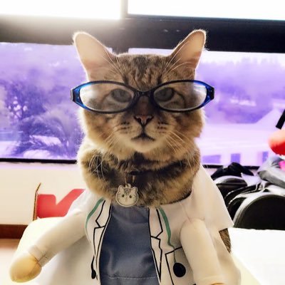 l_alhuthali's profile picture. 🌊🥼🩺🏋🏼‍♀️❤️🍼🧑‍🧑‍🧒‍🧒 | Future Paediatrician