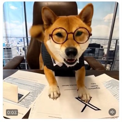 JacksonValora's profile picture. ( 本轮牛市亏损超2000万)2025 年 1 月 12 日 巨亏放弃sats亏损20个比特币,和500万白银后,重度抑郁,专注于成为一名二级市场交易员,目前未盈利,还在努力中,有一辆电动车