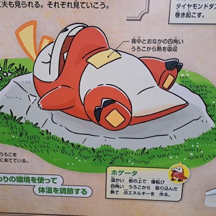 kachiiii_w's profile picture. お勉強用アカウントです✏無言で失礼いたします。2026年3月に初めてのtoeic受ける予定◎