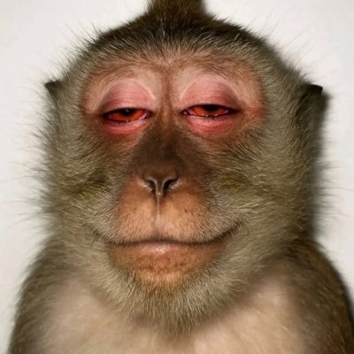 Dee4Xrp's profile picture. If it ain’t $XRP, keep it slow 🚫