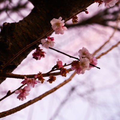 hannah_dorney's profile picture. 