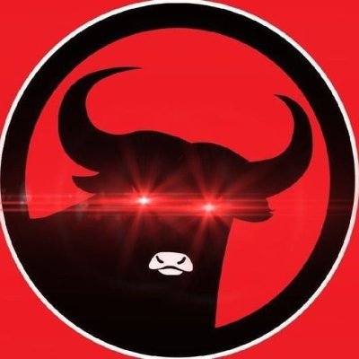 0xJrWolfftorger's profile picture. Always Bull 🔥