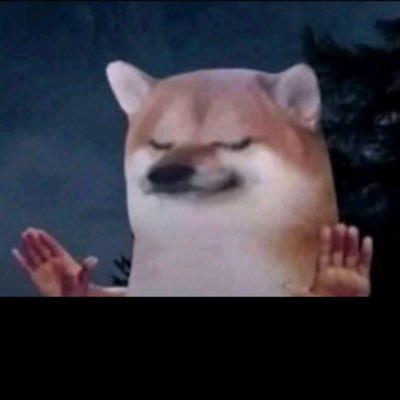 Gerardo63545925's profile picture. 