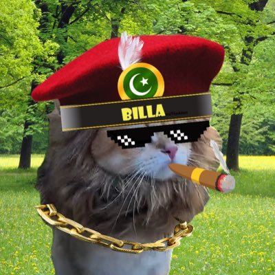 SamiTheAlien's profile picture. Meow. 🍊🐈 I travel spaces & listen to hooman views; but NEVER talk. Let me listen. Stop removing me!!! Send Co-Host. Cute Red Flag. DM if you like cats 🐱
