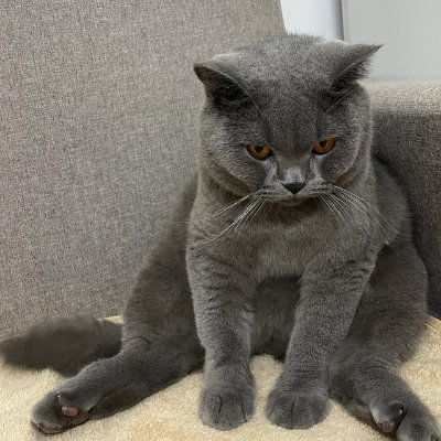 Aiko_Matsugr's profile picture. Being busy is to live a better life, not to get lost in it. Only by stopping occasionally and feeling your own existence can you find the real strength.
