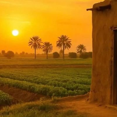Nayeramustaf's profile picture. 😍🥰😍🥰
