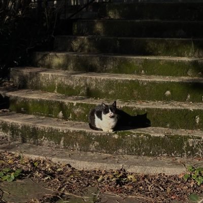 RicoElMundo's profile picture. 