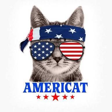 Citycat212's profile picture. We can’t keep pretending that voter fraud does not exist!