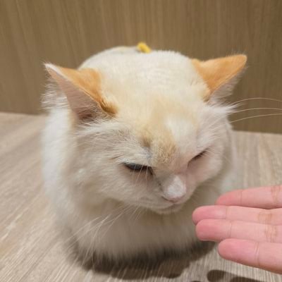 Yookim08030215's profile picture. 25y zz全肯定