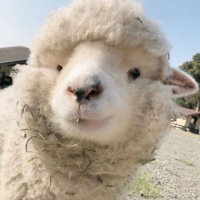 🧊 (@oighir06) 's Twitter Profile Photo