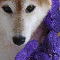 tenten (@tenten_ams) 's Twitter Profile Photo