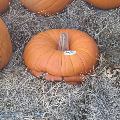 rylee_mc00's profile picture. 