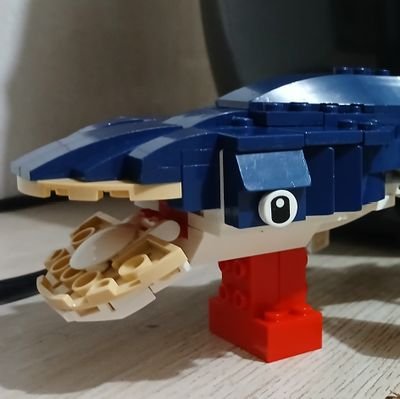 dudu1911183559's profile picture. Udushd2ioe9do2k2iw