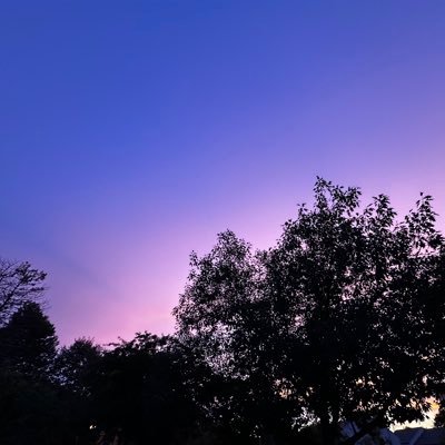 AshleeMBoyer's profile picture. 