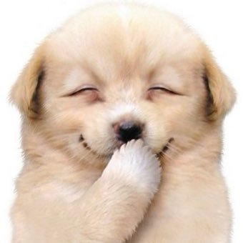 ohhahahihi's profile picture. bjd