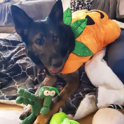 Kayla845912's profile picture. 