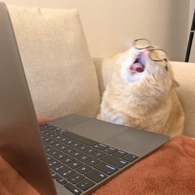 writerduda's profile picture. 𝗪𝗥𝗜𝗧𝗘𝗥 𝗔𝗖𝗖𝗢𝗨𝗡𝗧 ” try, if can't, try again. (SHE/HER) · me siga no Spirit Fanfics e no Wattpad!
| comissões abertas |