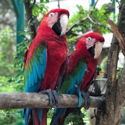 anhhoa02's profile picture. 