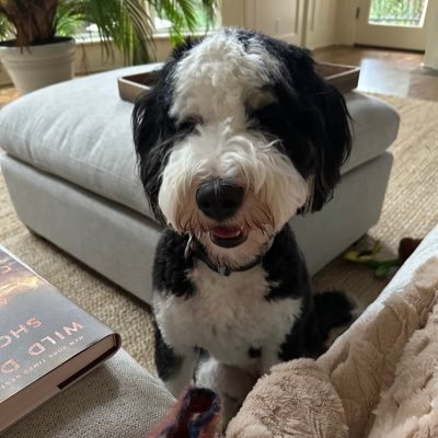 AmberSaysWhat's profile picture. 